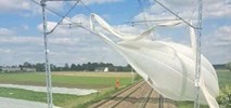 PKP PLK: Walczymy z opóźnieniami powodowanymi przez niedbałych rolników