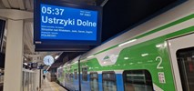 Niewielu pasażerów z Rzeszowa do Ustrzyk Dolnych 