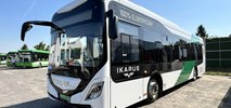 Szczecinek myśli o zniesieniu bezpłatnej komunikacji miejskiej