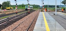 Koniec programu przystankowego. Nie był dostosowany do potrzeb