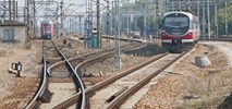Start prac pomiędzy Skierniewicami a Bełchowem. Ruch po jednym torze 