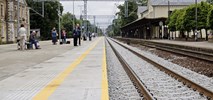 Prace na linii nr 1 pod Piotrkowem. Wkrótce będzie szybciej? 
