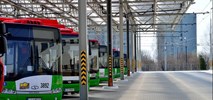 Lublin na zakupach. Poszukuje autobusów elektryczno-spalinowych