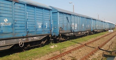 PKP Cargo: Wielka wyprzedaż nieczynnych wagonów