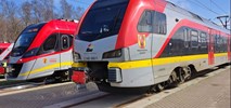 ŁKA z nowym zapleczem technicznym w Łodzi. Sąsiadem będzie Stadler