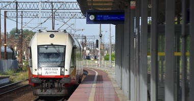 Kujawsko-pomorskie. Borsuk już na szlaku