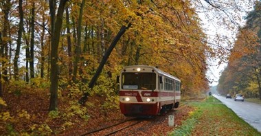 Malbork chce wybudować drogę na terenie po wąskotorówce 