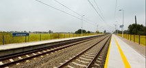 Wymiana sieci trakcyjnej pod Koluszkami. Tydzień komunikacji zastępczej 