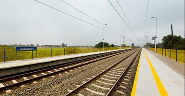 Wymiana sieci trakcyjnej pod Koluszkami. Tydzień komunikacji zastępczej 