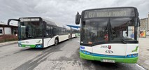 Szczecin ruszył na duży autobusowe zakupy. Nawet 44 "hybrydy"