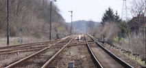 Lubuskie: Chcemy pociągów z Berlina do Gorzowa Wlkp. i Krzyża 