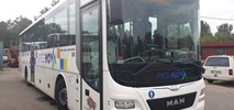 13 autobusów elektrycznych dla PKS Nova - dwa przetargi, jeden wykonawca
