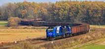 MI: Ruch pasażerski na LHS ograniczyłby przepustowość dla towarów
