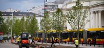 Kolejne drzewa na placu Trzech Krzyży