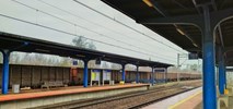 Linia 132: Dolkom zmodernizuje odcinek Opole – Pyskowice