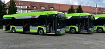 MZK Piła odbiera kolejne autobusy elektryczne - wkrótce pojawią się też wodorowe