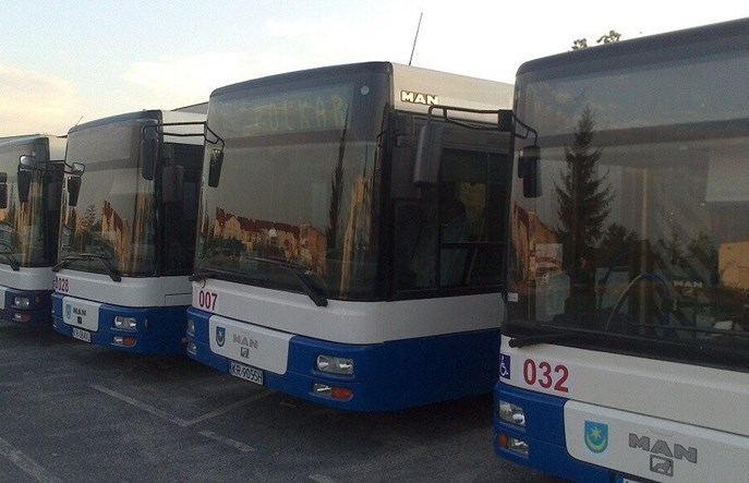 Tarnobrzeg planuje odtworzenie własnej spółki zajmującej się komunikacją miejską