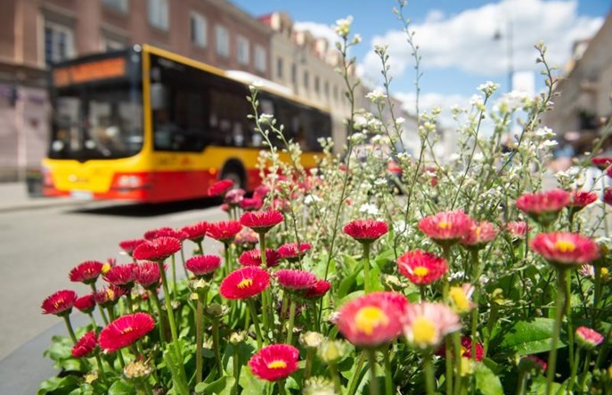 Warszawskie tramwaje i autobusy częściej. Powrót z wakacji