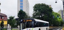 MZK Toruń szuka używanych autobusów: 12 pojazdów klasy MAXI