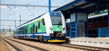 Czeskie firmy z bogatą ofertą na Trako. Nie tylko Škoda