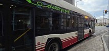 Man zainteresowany opolskim przetargiem na elektryki