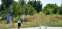 Węgry: Reaktywacja wąskotorówki Kecskeméti Kisvasút