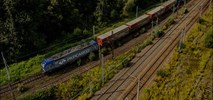 PKP Cargo wynajmuje specjalistyczne wagony