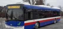 MZK Bydgoszcz szuka nowych autobusów w leasingu