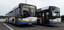 Świnoujście planuje dywersyfikację taboru komunikacji miejskiej