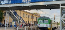 Mazowieckie uruchomi więcej pociągów do Radomia, Ostrołęki i Żyrardowa 