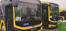 MAN jedynym oferentem w przetargu na elektrobusy dla Włocławka