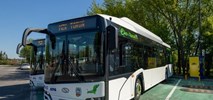 Toruń poszukuje do 15 spalinowych hybryd