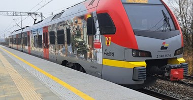 Linia 11: Nowym torem ze Skierniewic do Bełchowa