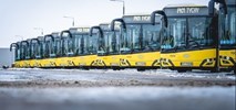 Są oferty na autobusy MIDI i MINI dla PKM Tychy