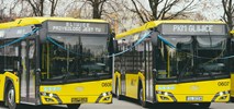 25 nowych i nowoczesnych autobusów w Gliwicach