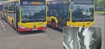 Wrocław. Kierowcy autobusów MPK zaatakowani gazem pieprzowym [wideo] 