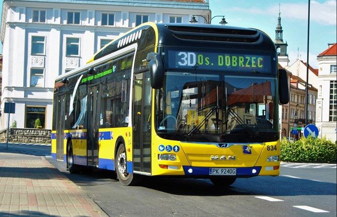 W Kaliszu komunikacja miejska jest bezpłatna, ale ludzie nie chcą z niej korzystać. Powód?