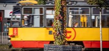 Tramwaje Warszawskie zazielenią kolejne słupy trakcyjne