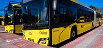 Gliwice: Solaris jedyny w przetargu na 8 elektrycznych autobusów