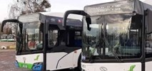 Szczecin: Solaris wygrywa z MAN-em w przetargu na 6 hybryd