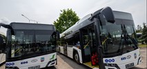 Drogie autobusy hybrydowe dla Torunia