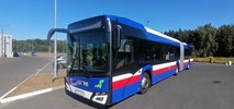 MZK w Bydgoszczy planuje leasing 22 autobusów spalinowych 