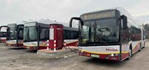Swarzędz ma kolejne elektrobusy. Pierwsze przegubowe
