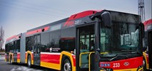 Nowe autobusy Solaris mild hybrid wzmacniają flotę MZK w Bielsku-Białej