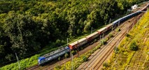 Kolejny wzrost PKP Cargo pod względem udziału w rynku