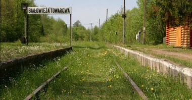 Pociągi dalekobieżne nie pojadą do Białowieży  
