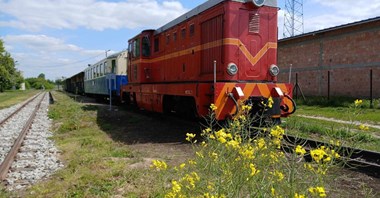 FPKW: Przekształcenie Kolei Rogowskiej w drogę rowerową całkowicie bezzasadne 