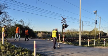 Turów. Samochód zatrzymał się na przejeździe, uderzył w niego pociąg (wideo)