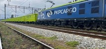 PKP Cargo: Udział w rynku maleje. Co z propozycjami dla wierzycieli?