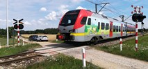 Łódzkie: Pociągi ŁKA do Poddębic od grudnia tego roku? 
